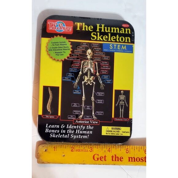 The Human Skeleton Learn & Identify the Bones T.S. Shure in Tin Case New Sealed - Picture 6 of 7